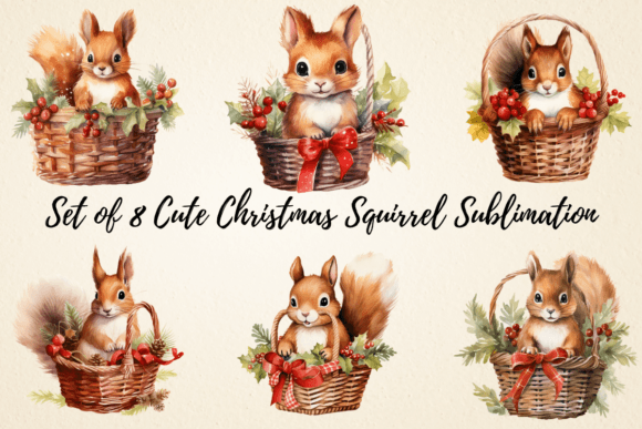 Cute Christmas Squirrel Sublimation Illustrations Review