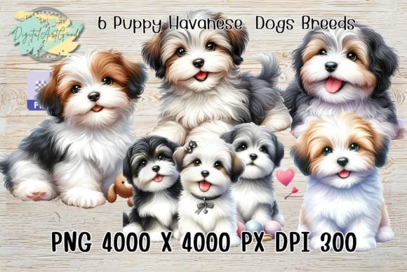 Reviewing the 6 Puppy Havanese Watercolor Design
